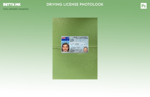 модерен стил Новозеландската возачка дозвола е преден шаблон за фотолик